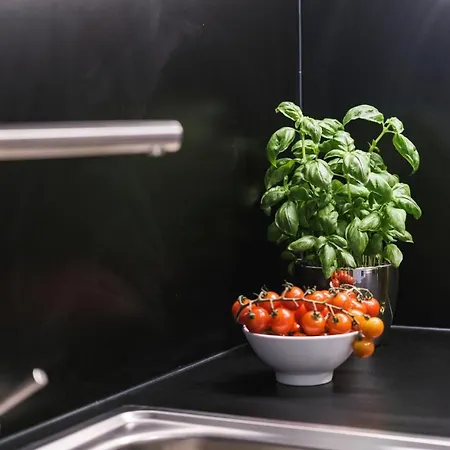 Moliving - Design & Duesseldorf-neuss