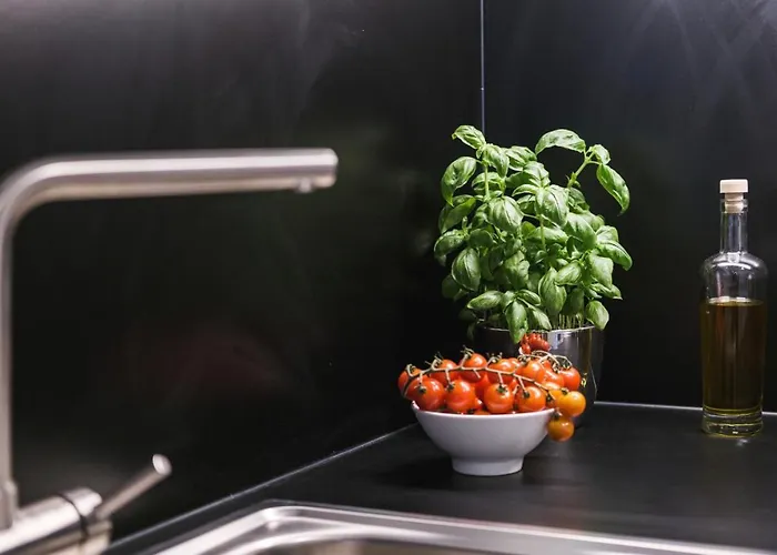 Moliving - Design & Duesseldorf-neuss